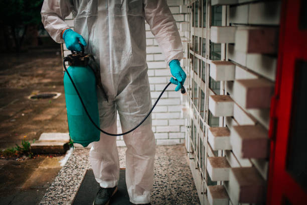 Get Rid of Termites with Professional Pest Control Experts